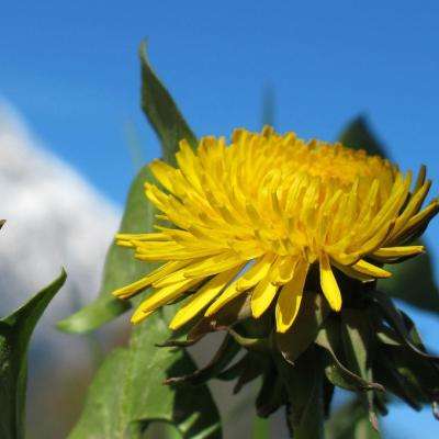 beat365中国在线体育下载手机版