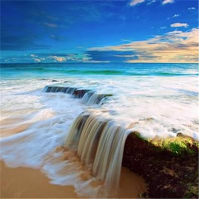 bob·体育综合appapp下载